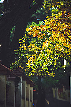 soi cầu lô kép khung 2 ngày