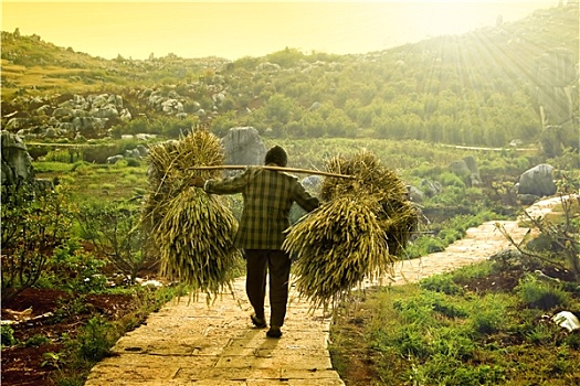 dự đoán xổ số ba miền hôm nay