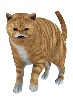 dàn đề siêu chuẩn