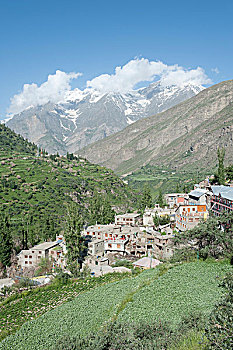 cau lo rong bach kim