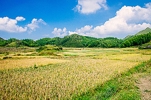 cách đánh lô dàn hiệu quả