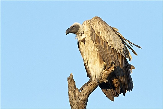 dự đoán xsmb