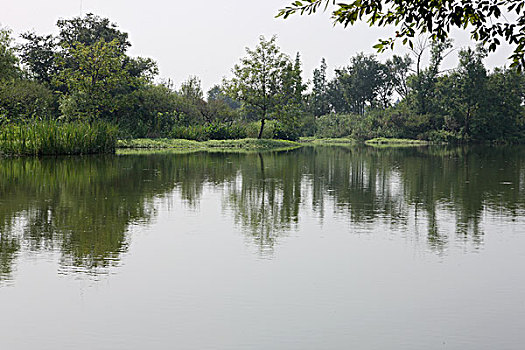 soicau bachthu