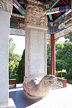 soi mien phi