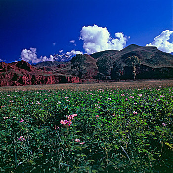 soi cầu lô tô hôm nay
