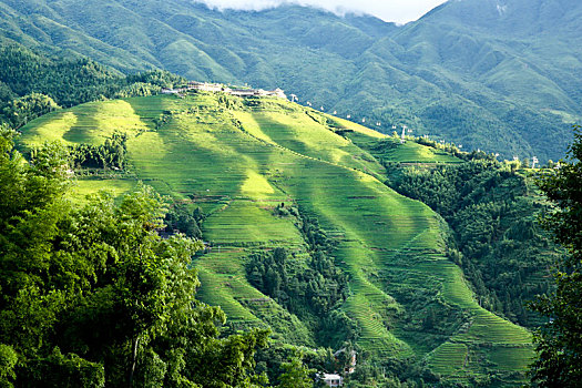 soi cau xsmb bach thu