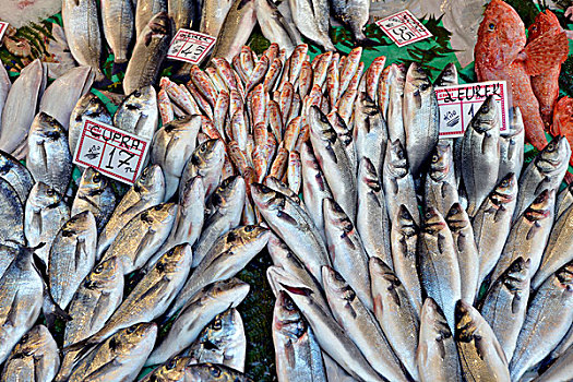 xổ số miên nam