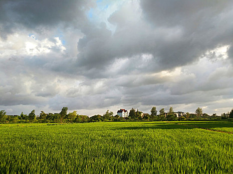 soi lo de bach thu hom nay