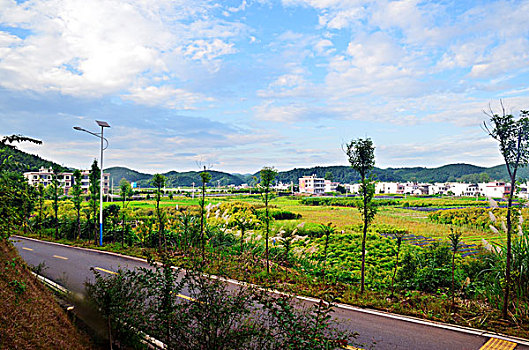 vé số hôm nay