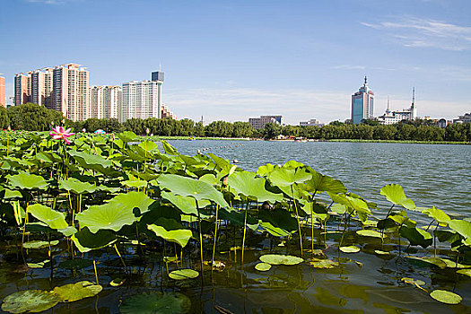 xổ số an giang ba đài