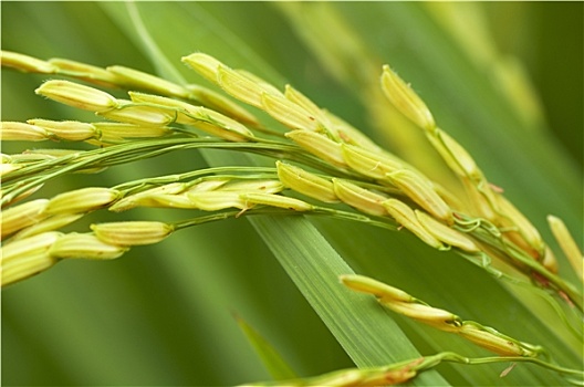 dự đoán xổ số 3