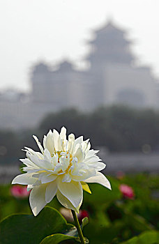 xo so thu hai