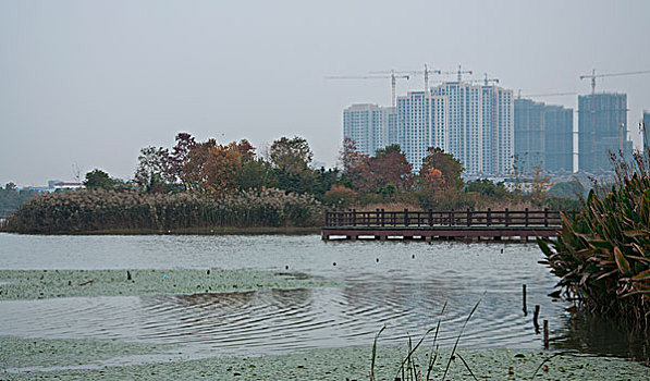 cau lo bach thu