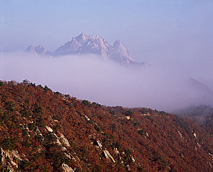 lo kep rong bach kim