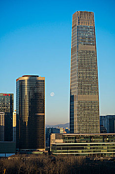 soi câu bach thu