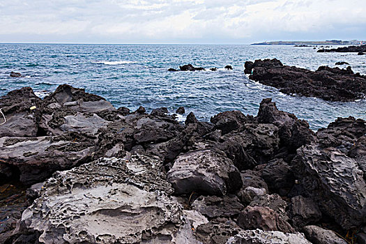 dự đoán xổ