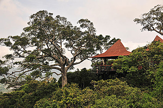 số lô đẹp hôm nay
