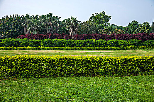quay thử xổ số gia lai