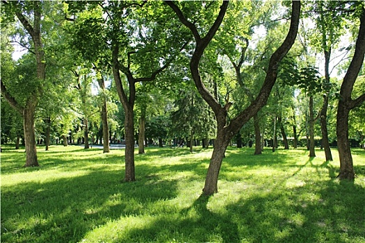 soi cau vip 888