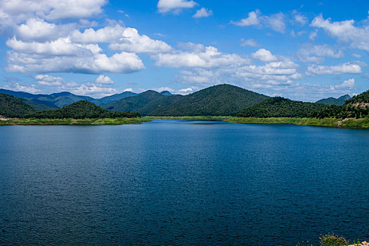 soi cau lo rong bach kim