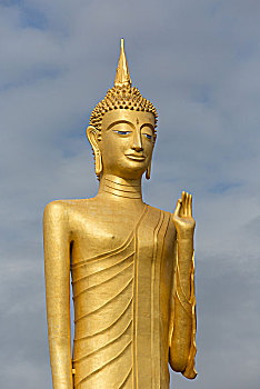 soi cau xo so