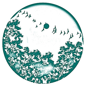sổ kết qua