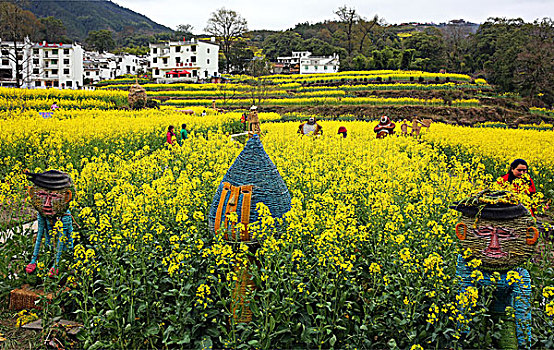 rong bạch kim 888