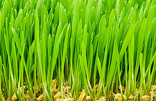 xổ số đài miền bắc hôm nay