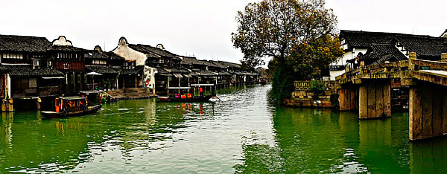 soi cau bach thu