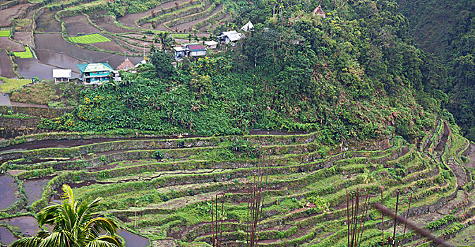 du doan lo de hom nay