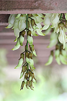 sổ kết quả