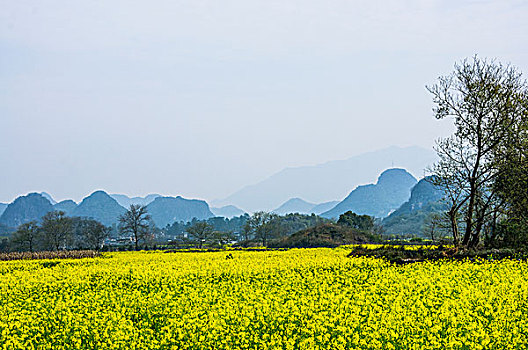 cách chơi xsmb