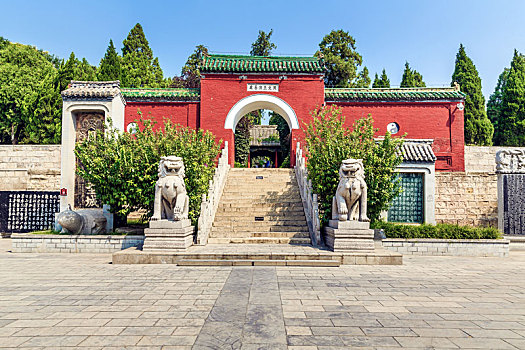 soi cầu win