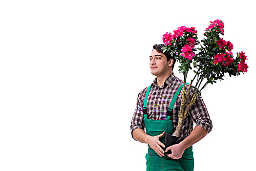 soi cầu lô ngày hôm nay