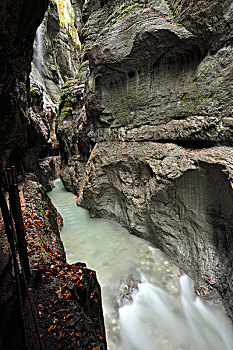 soi cau tuan