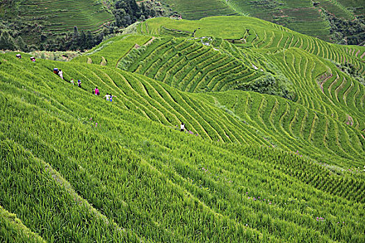 cách tính lô đề chuẩn