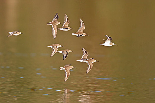 du doan xsmb 366