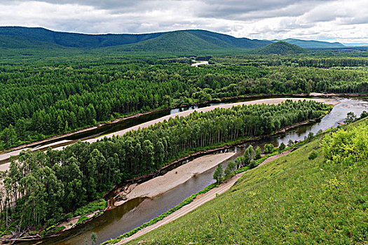 lo de rong vang bach kim