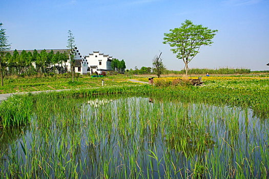 xổ số tiền giang 30 ngày
