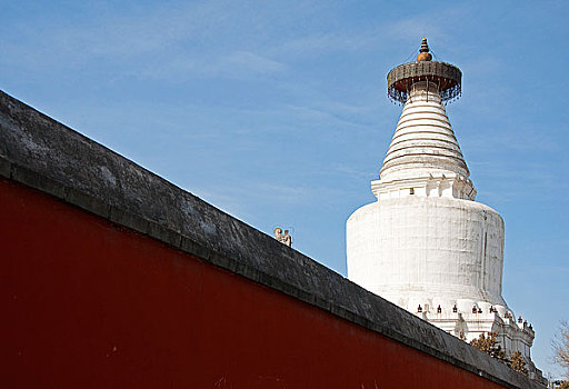 soi cau phat loc tron doi