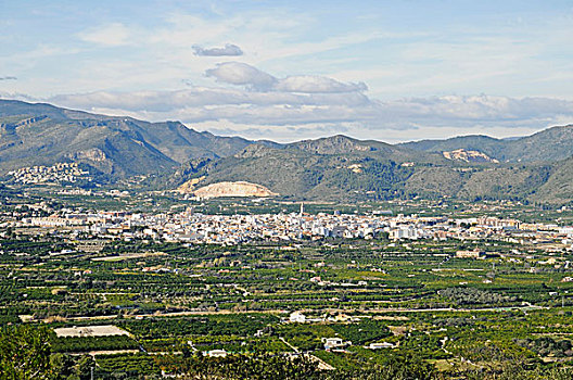 bạch thủ lô vip