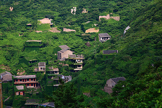 soi cau binh dinh