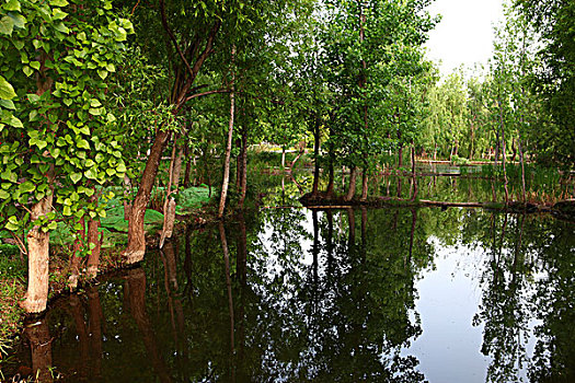 so thu mn