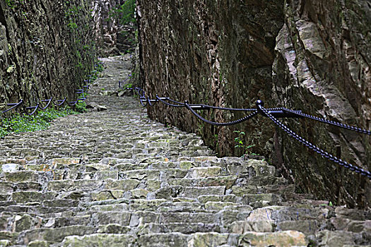 soi cau chuan 14
