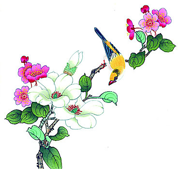 soi lo hom nay