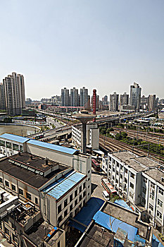 rong bach kim 2 nhay