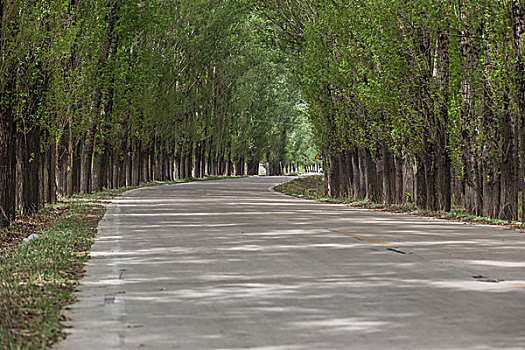 xổ số miền nam ngày nay