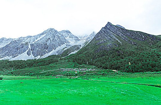 soi cầu lo