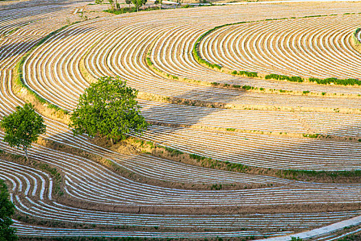du doan 3 mien bac trung nam