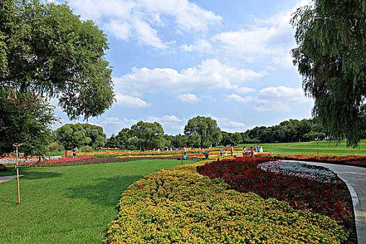 soi cầu bạch thủ đề